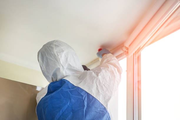 Best Attic Mold Removal  in Brookhaven, GA