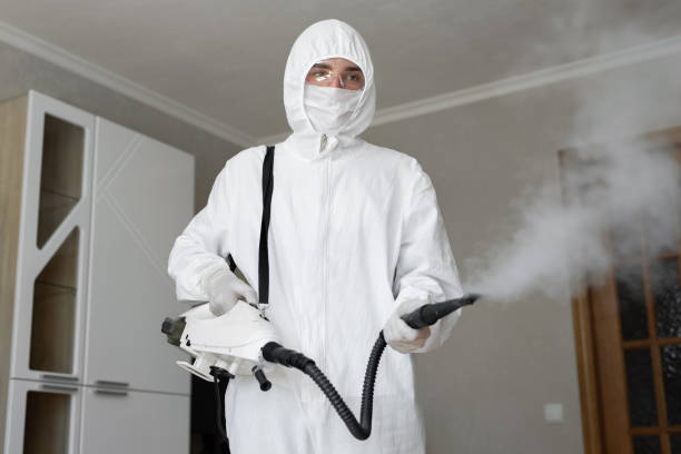 Mold Documentation for Insurance Claims in Brookhaven, GA